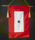 BLUE STAR BANNER